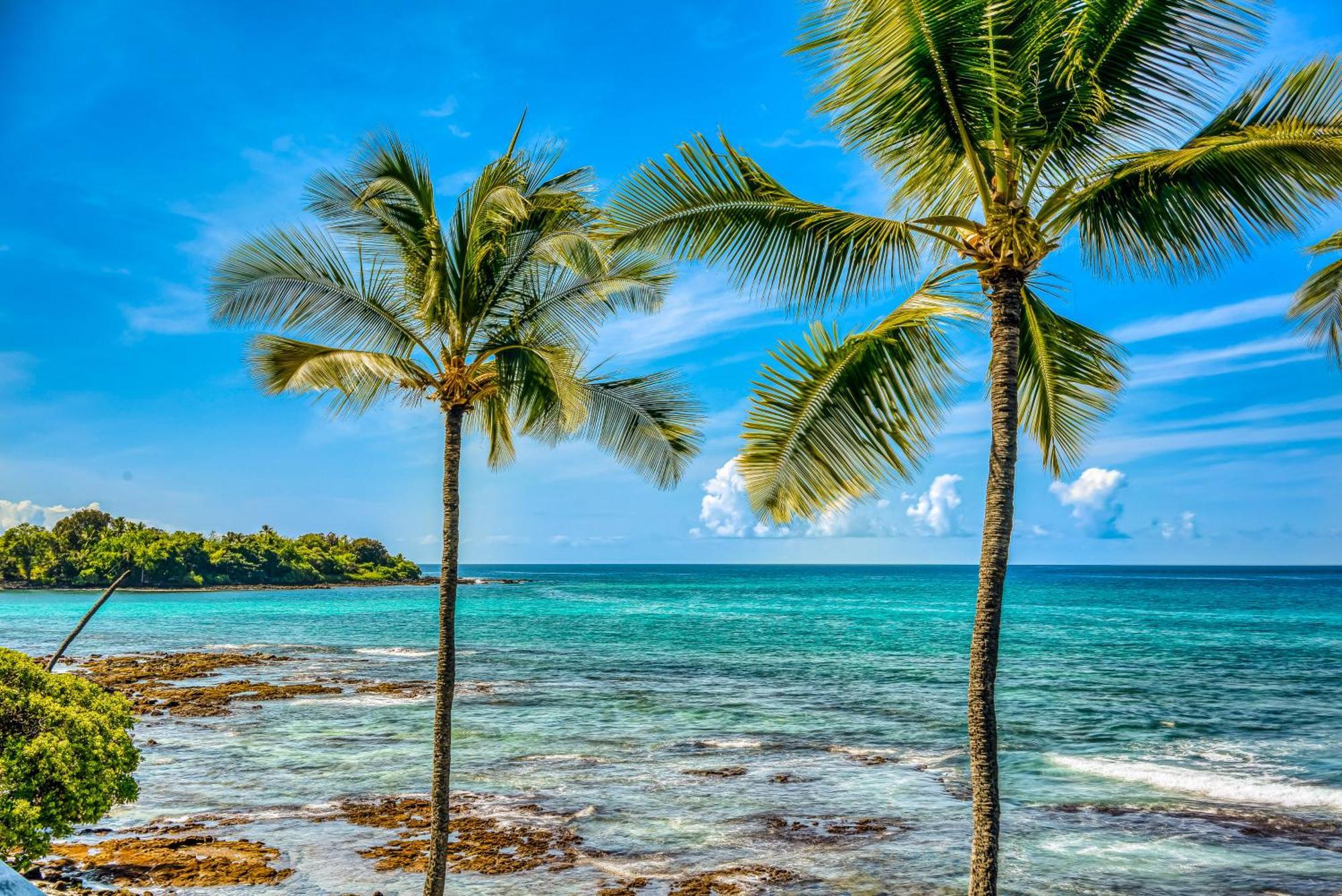 Kona Bali Kai #334 Hotel Kailua-Kona Eksteriør billede
