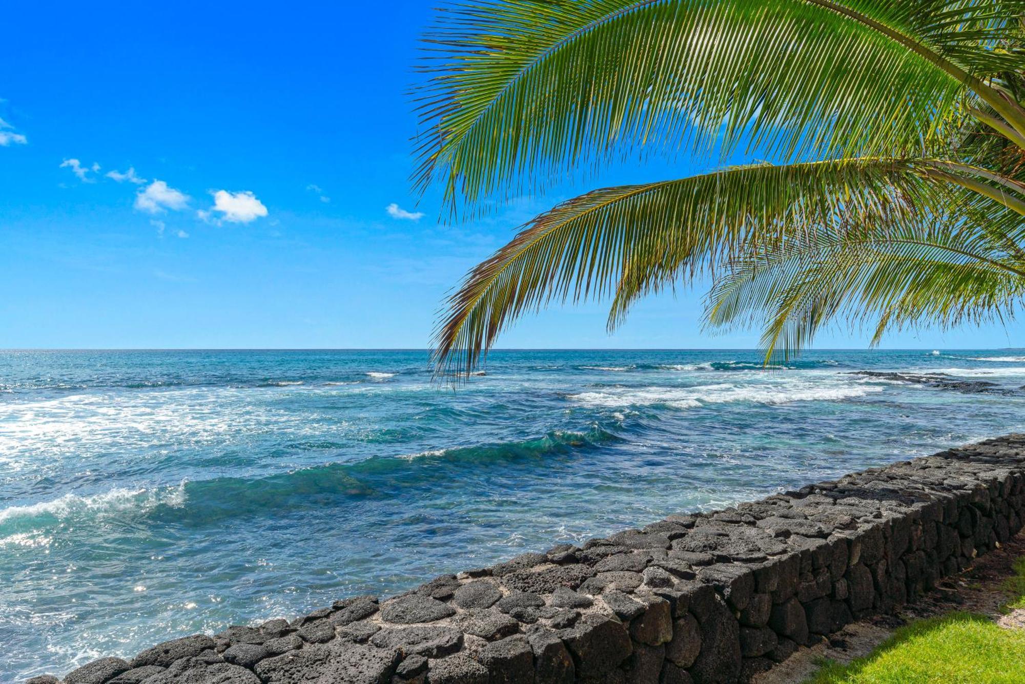Kona Bali Kai #334 Hotel Kailua-Kona Eksteriør billede